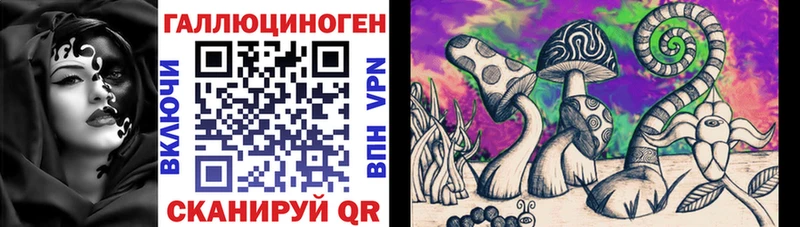 Псилоцибиновые грибы GOLDEN TEACHER Купить Высоковск